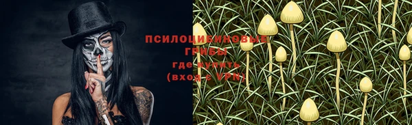 каннабис Алексин