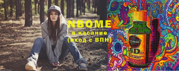 прущие грибы Алзамай