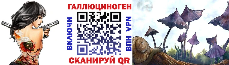 hydra ССЫЛКА  дарнет шоп  Сусуман  shop состав  Псилоцибиновые грибы GOLDEN TEACHER 
