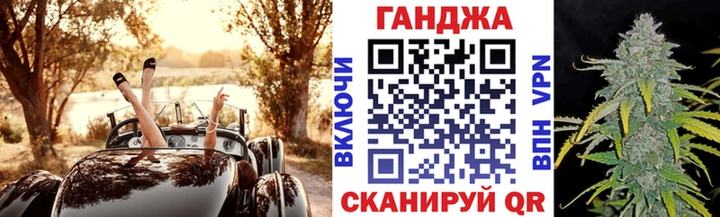 гидра ссылка  Сусуман  Конопля сатива 